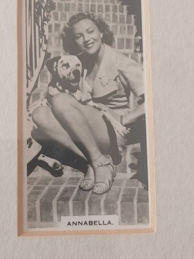 Vintage Carreras Ltd. "Film & Stage Beauties" Framed Collage