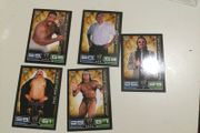Wwe Topps