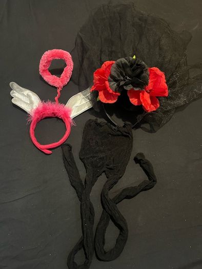 Hallowen Costume