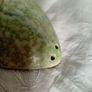 mid century dish, west german pottery Image 6