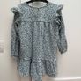 Long sleeved Zara dress Image 3