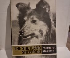 The Shetland Sheep dog.
