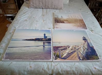 Three Canvas Prints