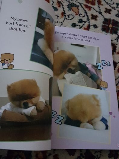 Jiffpom's Sticker Book / gift