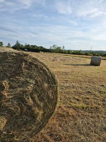 Hay round bales