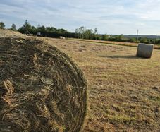 Hay round bales