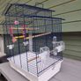 cage Image 2