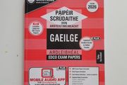 Ecdo irish exam papers