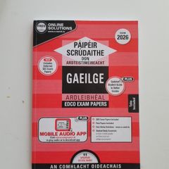 Ecdo irish exam papers