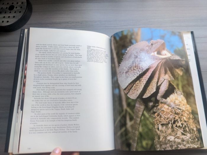 The Nature of Australia Michael Morcombe