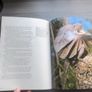The Nature of Australia Michael Morcombe Image 7