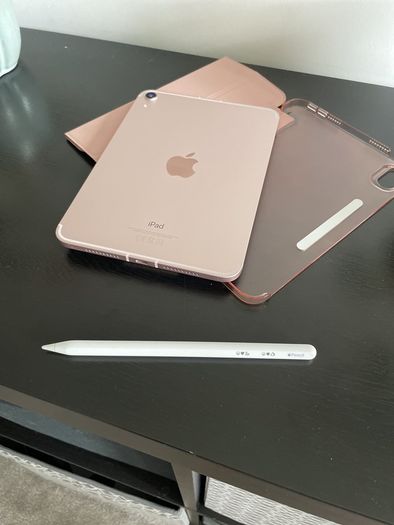 Apple iPad mini