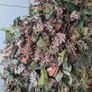 ghillie Image 3