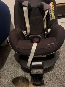 baby seat
