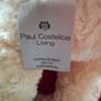 Paul Costello Bear Image 2