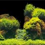 Aqua Nova Rock/Plants Double Sided Background 100x50cm Image 3