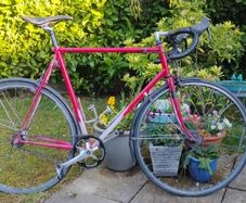 Steal  road bike fixie