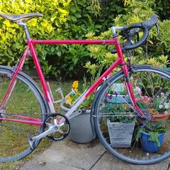 Steal  road bike fixie