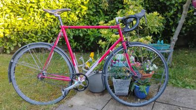 Steal  road bike fixie