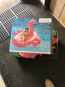 pool toy