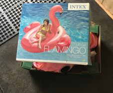 pool toy