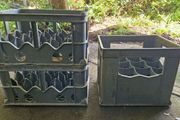3 Beer bottle crates