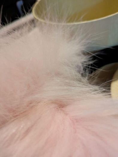 Baby pink Fur ear muffs