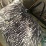 fur bag Image 6