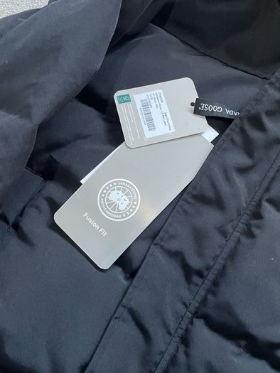 canada goose