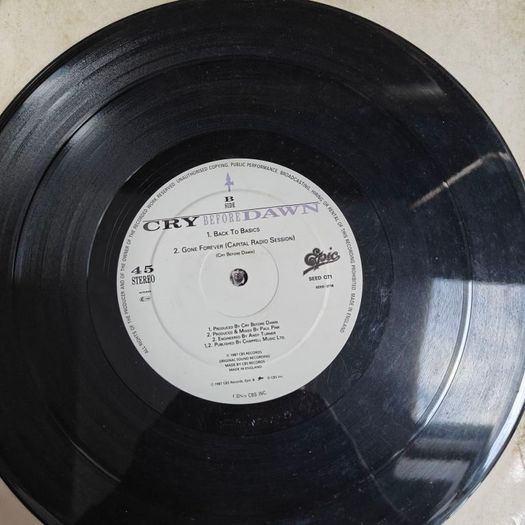 Cry Before Dawn,The seed that's been down 10" Irish Rock