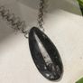 1 Ancient Energy Orthoceras Fossil Beautifully Soldered on a Chunky Silver Belcher Chain Image 2