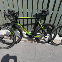 Giant Propel Advanced Large.