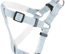 Dog harness small