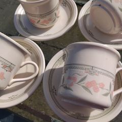 20piece  Biltons Dinner Set