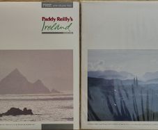 Paddy Reilly's Ireland Volume One & Two 2 x Vinyl LP's (1986) Folk NEAR MINT