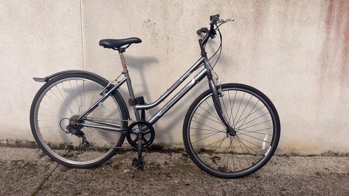 Ladies Bike