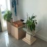 Small Mantle Coffee Table with 2 display units Image 3