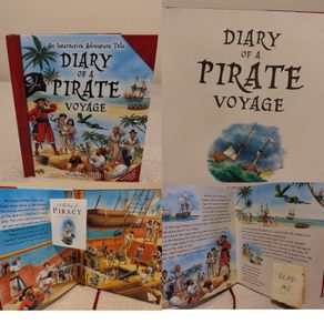 Diary of a Pirate Voyage: An Interactive lift the flap Adventure Tale
