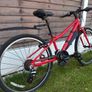 Carrera Saruna junior hybrid bike Image 2