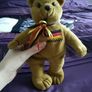 Germany Bear Image 2