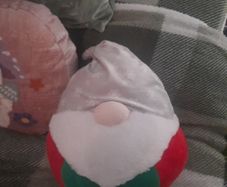 large gnome squishmallow