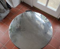 Kitchen Bin
