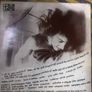 Stray vinyl lp Image 2