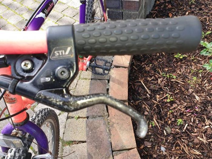 Raleigh Moonshine MTB