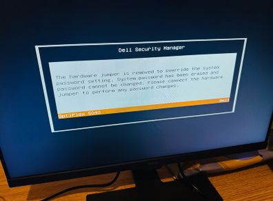 19" monitor