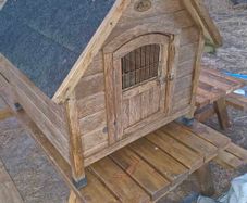 Dog House