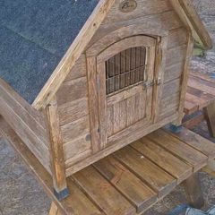 Dog House