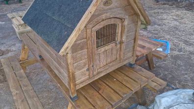 Dog House