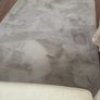 rug Image 3