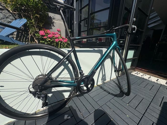 Specialized Mens Tarmac Disc Comp 56 Sagan Collection Ltd Sagan Blue